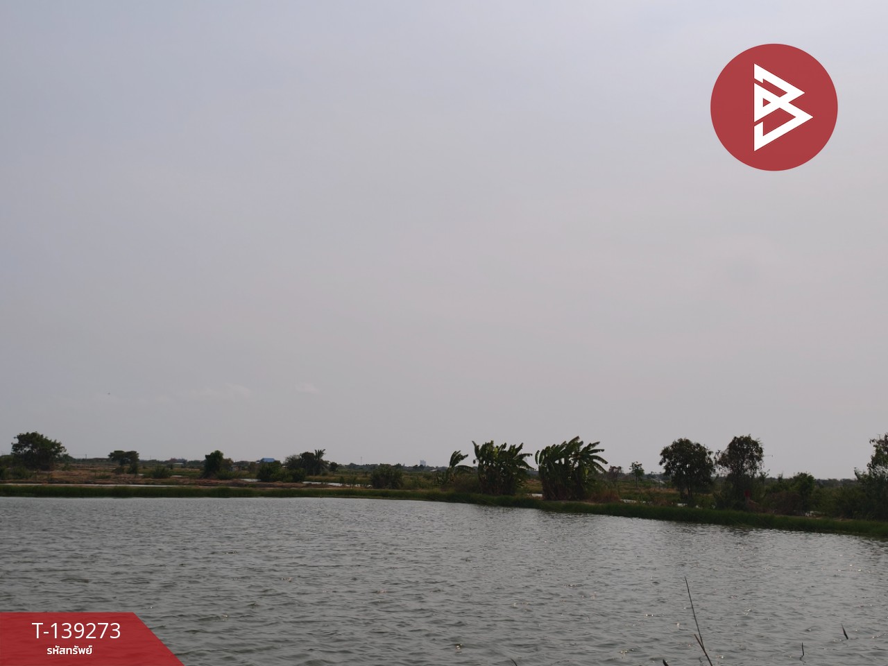 ขายที่ดิน เนื้อที่ 26 ไร่ 2 งาน 59 ตร.วา บางปะกง ฉะเชิงเทรา 8