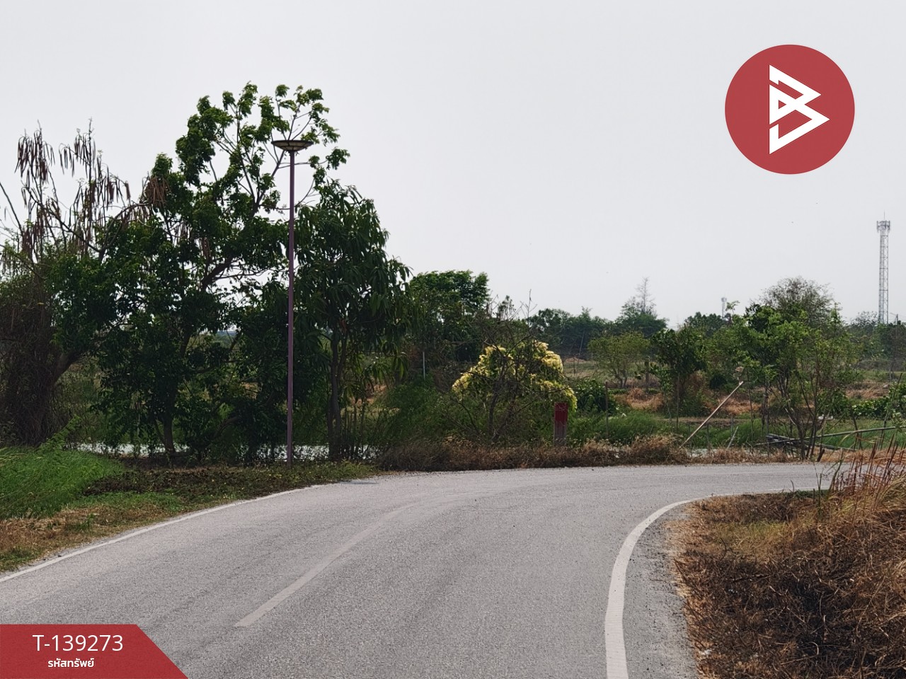 ขายที่ดิน เนื้อที่ 26 ไร่ 2 งาน 59 ตร.วา บางปะกง ฉะเชิงเทรา 4