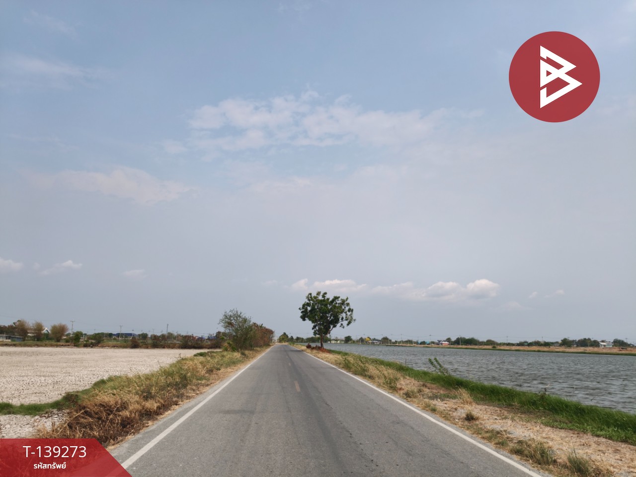 ขายที่ดิน เนื้อที่ 26 ไร่ 2 งาน 59 ตร.วา บางปะกง ฉะเชิงเทรา 6