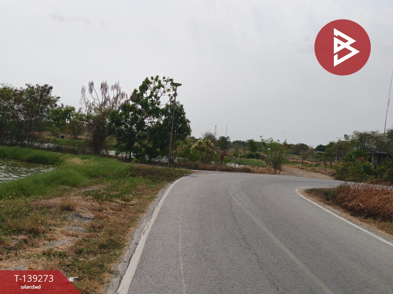 ขายที่ดิน เนื้อที่ 26 ไร่ 2 งาน 59 ตร.วา บางปะกง ฉะเชิงเทรา 5