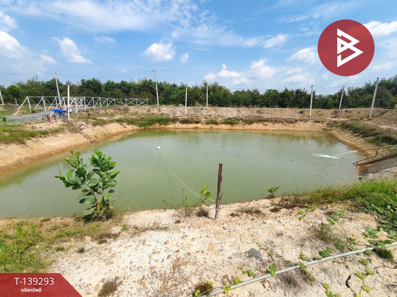 ขายที่ดินพร้อมสวน เนื้อที่ 11 ไร่ 3 งาน 17 ตร.วา ขลุง จันทบุรี 3