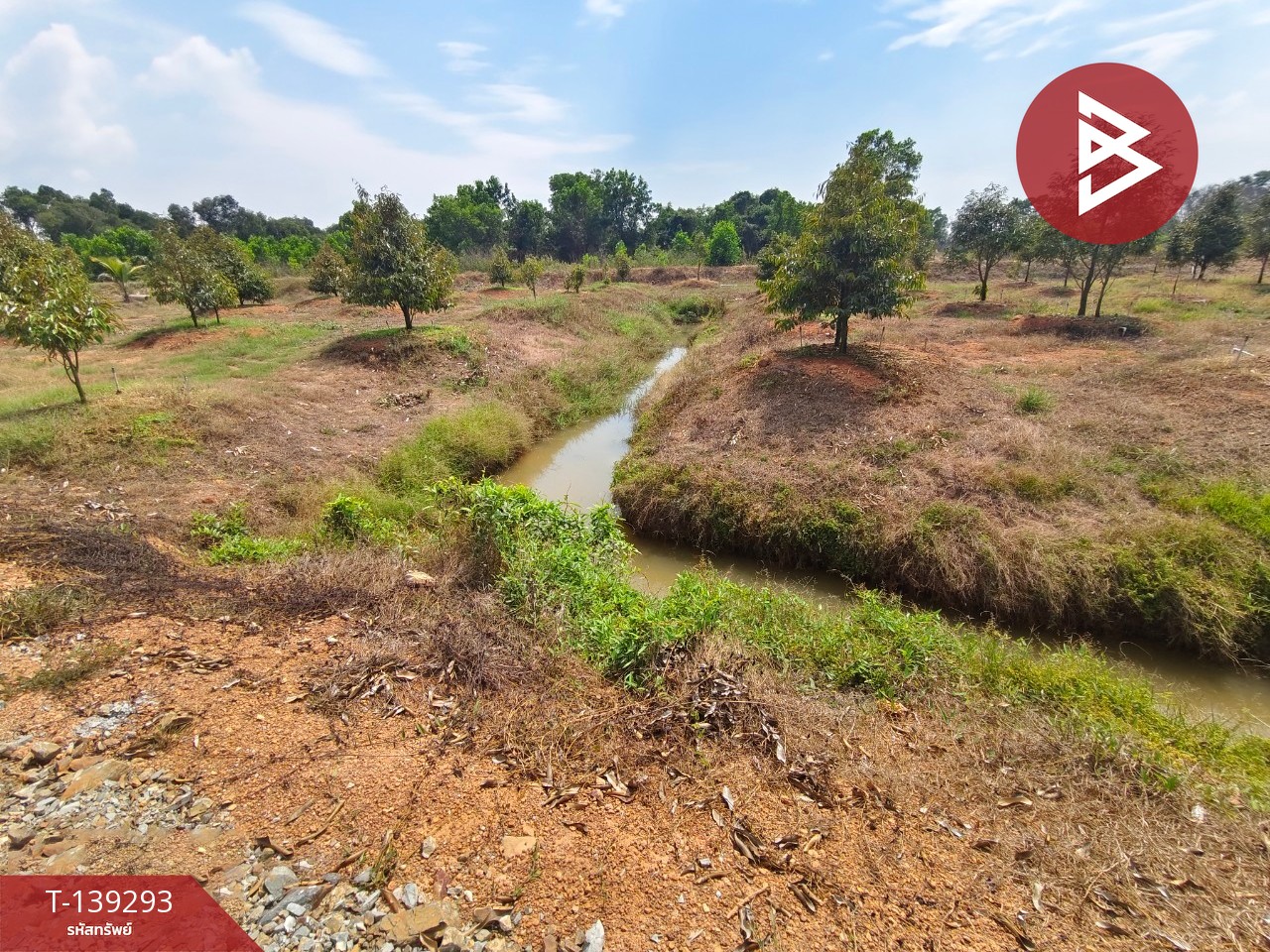 ขายที่ดินพร้อมสวน เนื้อที่ 11 ไร่ 3 งาน 17 ตร.วา ขลุง จันทบุรี 7