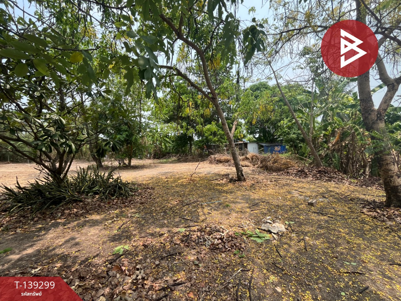 ขายบ้านเดี่ยวพร้อมที่ดิน เนื้อที่ 4 ไร่ อ.ดอนเจดีย์ จ.สุพรรณบุรี ทำเลดี 11