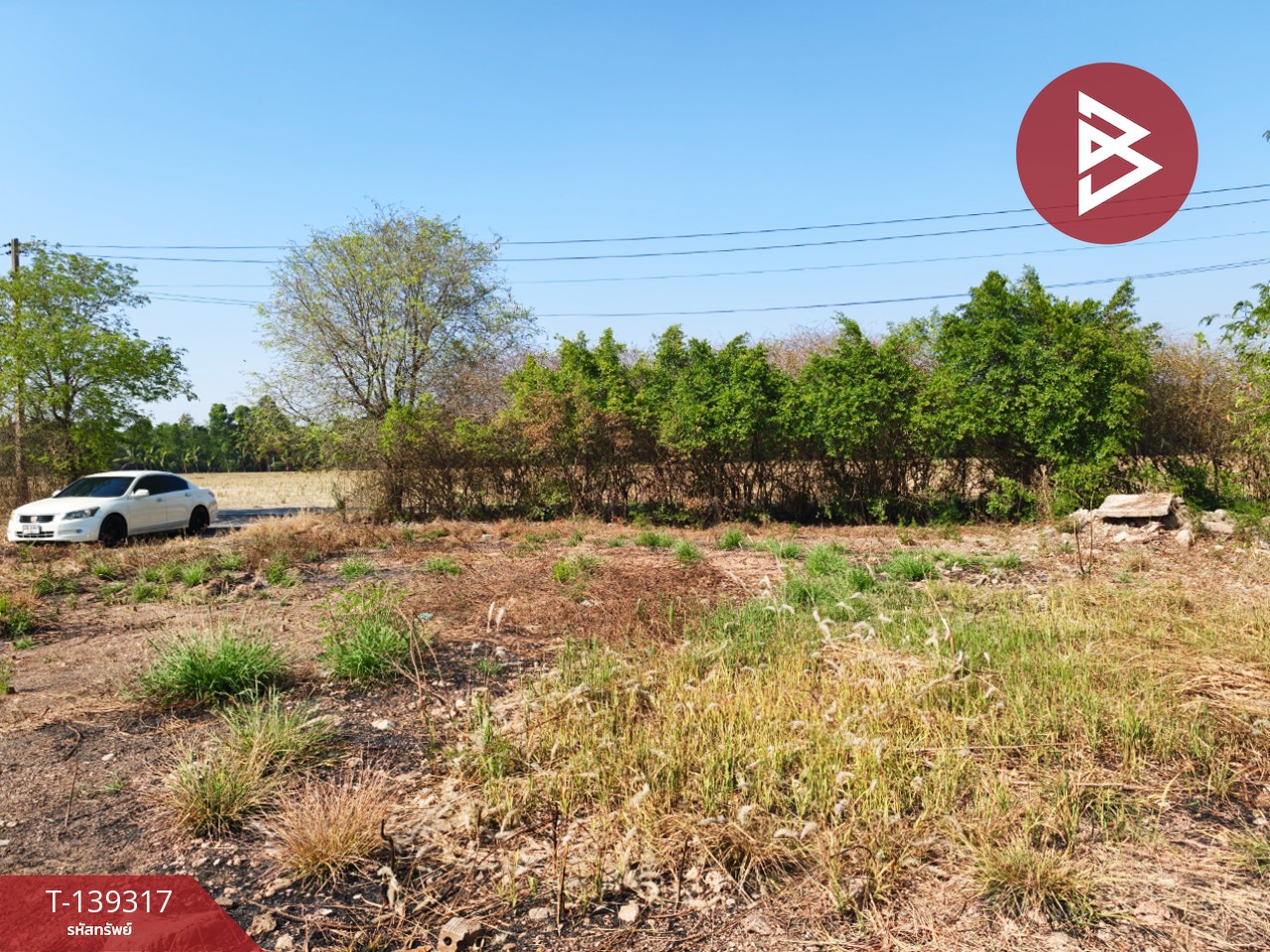 ขายที่ดิน เนื้อที่ 1 ไร่ 3 งาน 49 ตร.วา หนามแดง ฉะเชิงเทรา 2