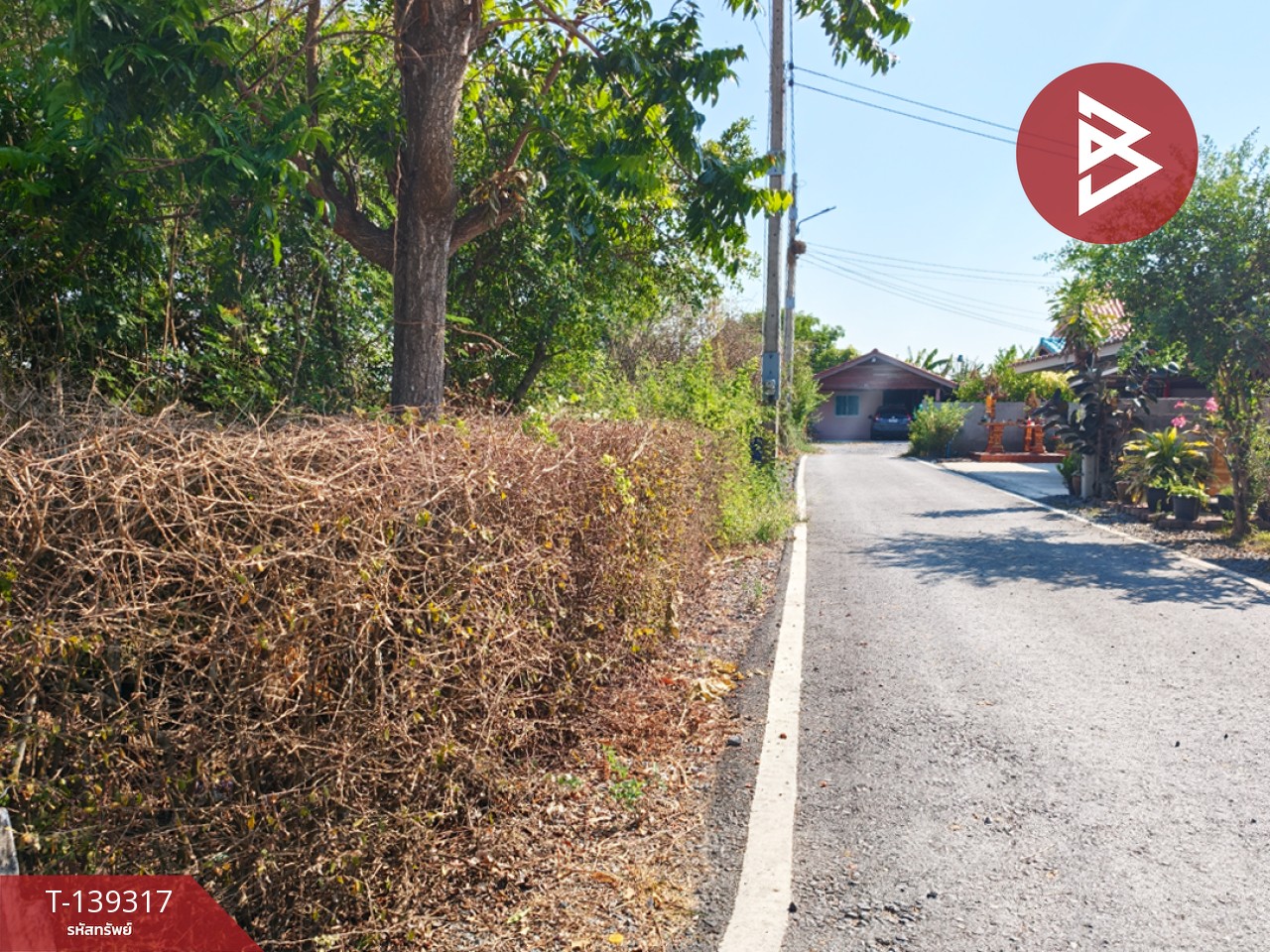 ขายที่ดิน เนื้อที่ 1 ไร่ 3 งาน 49 ตร.วา หนามแดง ฉะเชิงเทรา 10