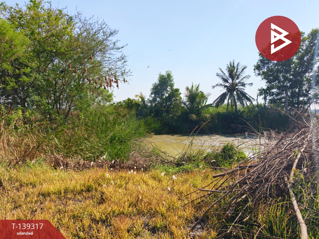 ขายที่ดิน เนื้อที่ 1 ไร่ 3 งาน 49 ตร.วา หนามแดง ฉะเชิงเทรา 4