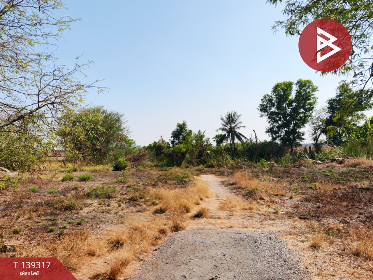 ขายที่ดิน เนื้อที่ 1 ไร่ 3 งาน 49 ตร.วา หนามแดง ฉะเชิงเทรา 1