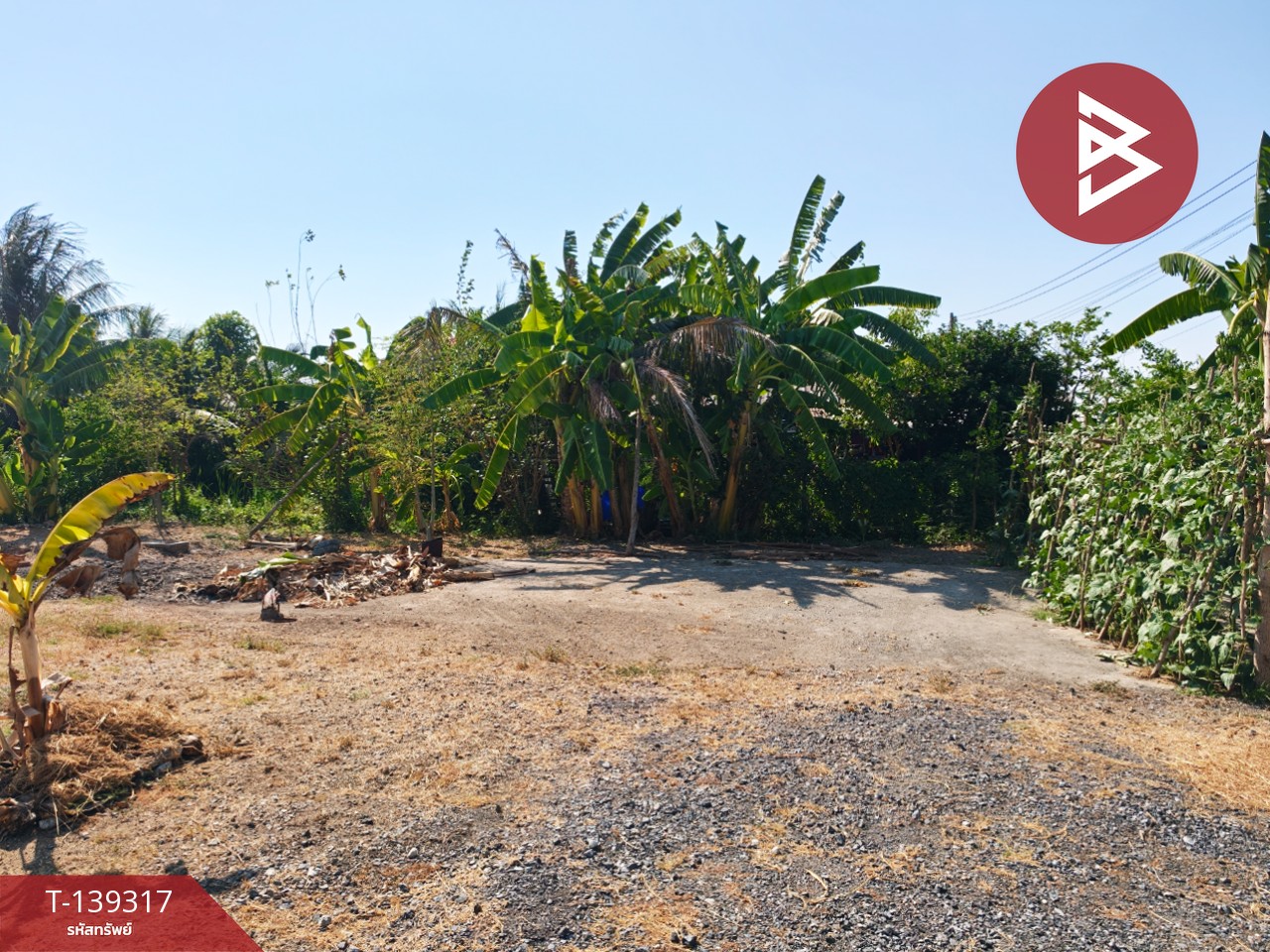 ขายที่ดิน เนื้อที่ 1 ไร่ 3 งาน 49 ตร.วา หนามแดง ฉะเชิงเทรา 5