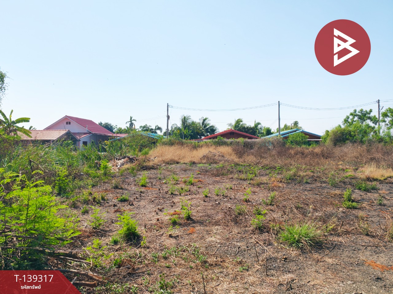 ขายที่ดิน เนื้อที่ 1 ไร่ 3 งาน 49 ตร.วา หนามแดง ฉะเชิงเทรา 3