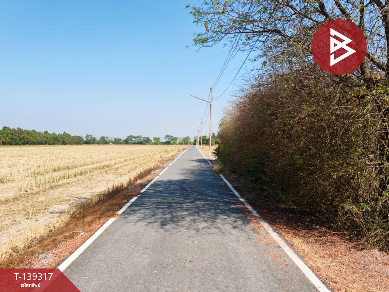 ขายที่ดิน เนื้อที่ 1 ไร่ 3 งาน 49 ตร.วา หนามแดง ฉะเชิงเทรา 12