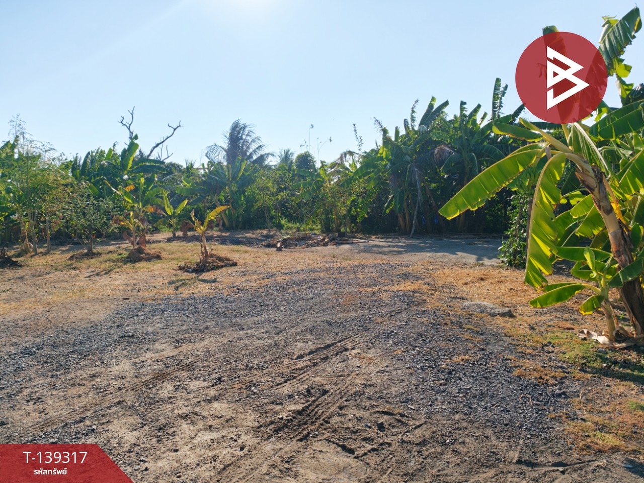 ขายที่ดิน เนื้อที่ 1 ไร่ 3 งาน 49 ตร.วา หนามแดง ฉะเชิงเทรา 8