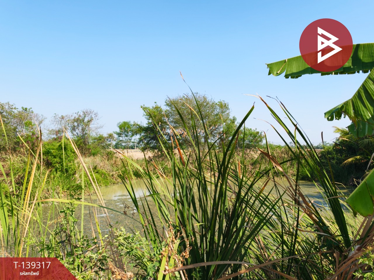 ขายที่ดิน เนื้อที่ 1 ไร่ 3 งาน 49 ตร.วา หนามแดง ฉะเชิงเทรา 9