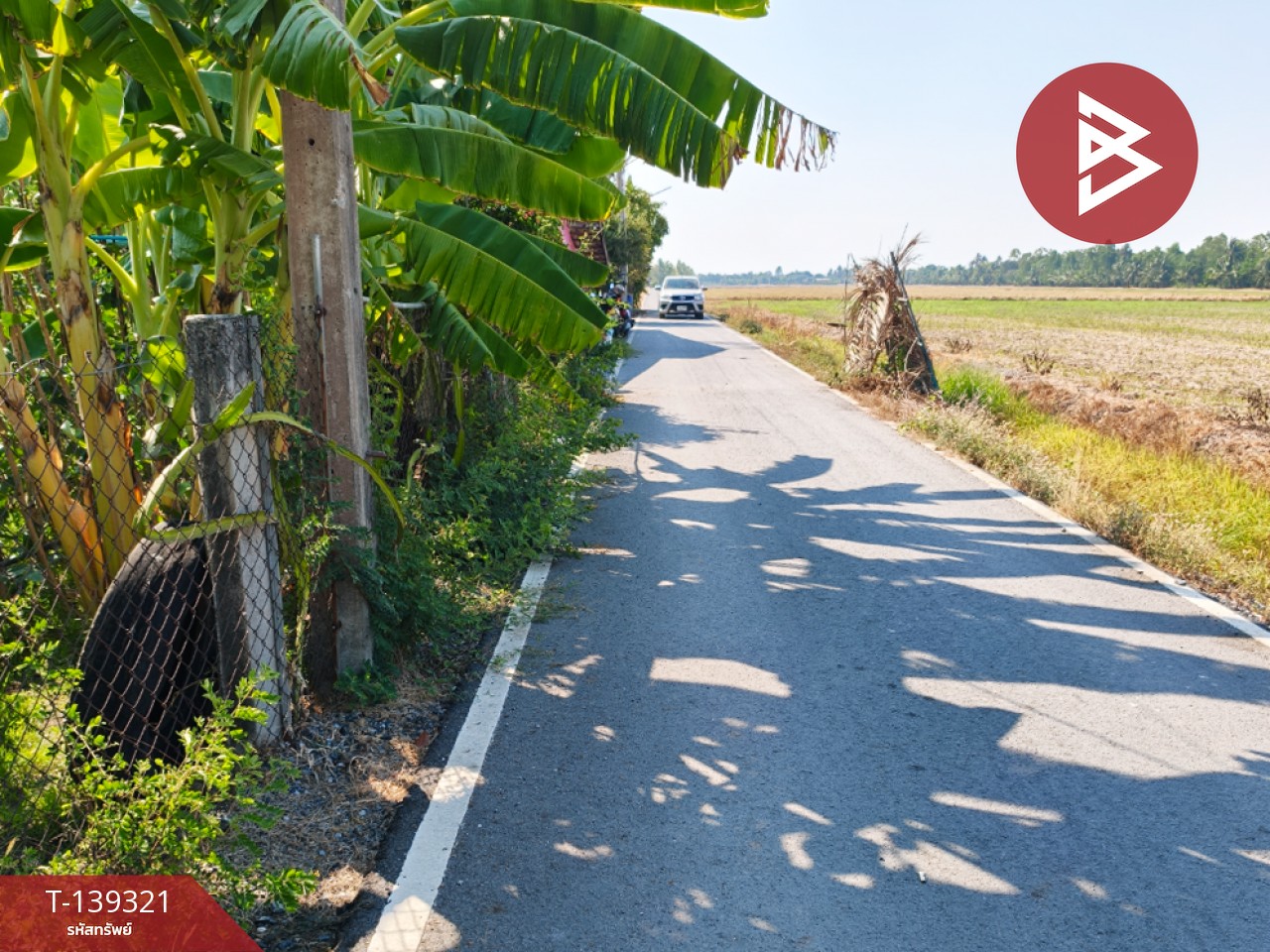 ขายที่ดิน เนื้อที่ 1 งาน 18.3 ตารางวา หนามแดง ฉะเชิงเทรา 6