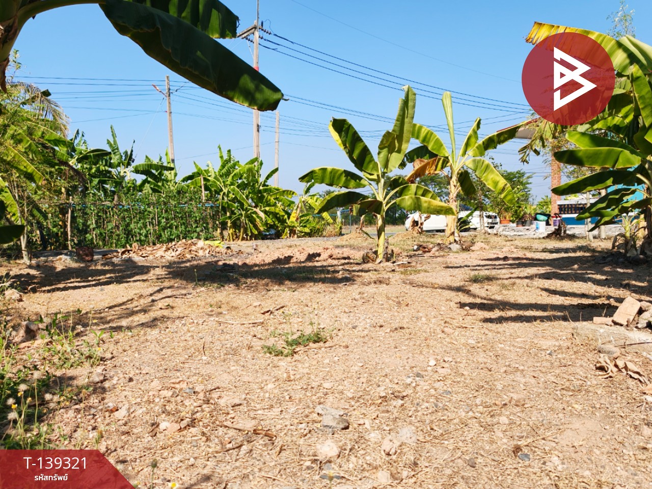 ขายที่ดิน เนื้อที่ 1 งาน 18.3 ตารางวา หนามแดง ฉะเชิงเทรา 1