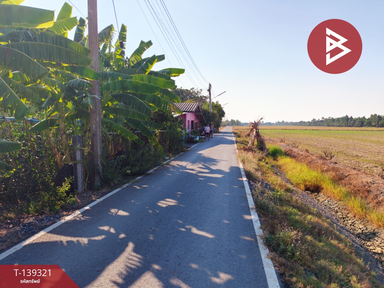 ขายที่ดิน เนื้อที่ 1 งาน 18.3 ตารางวา หนามแดง ฉะเชิงเทรา 7