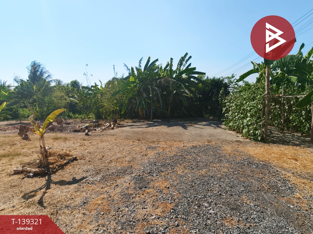 ขายที่ดิน เนื้อที่ 1 งาน 18.3 ตารางวา หนามแดง ฉะเชิงเทรา 2