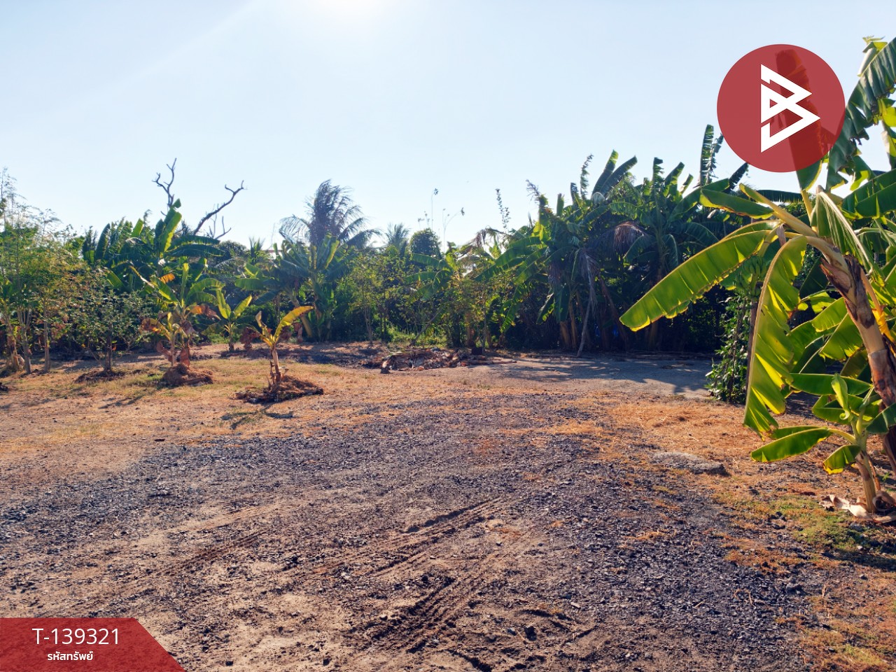 ขายที่ดิน เนื้อที่ 1 งาน 18.3 ตารางวา หนามแดง ฉะเชิงเทรา 4