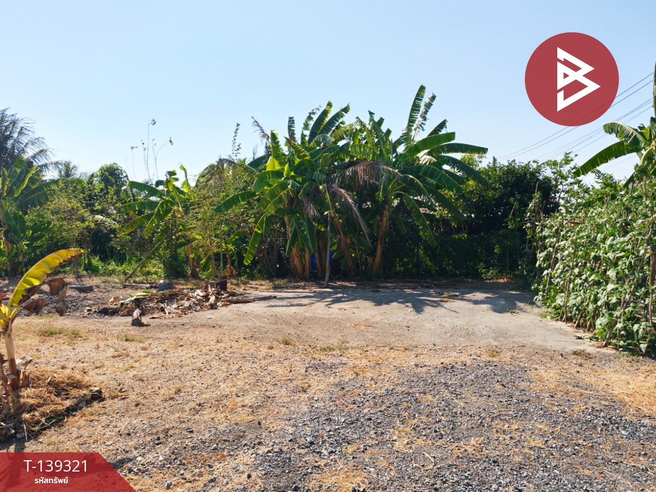 ขายที่ดิน เนื้อที่ 1 งาน 18.3 ตารางวา หนามแดง ฉะเชิงเทรา 3