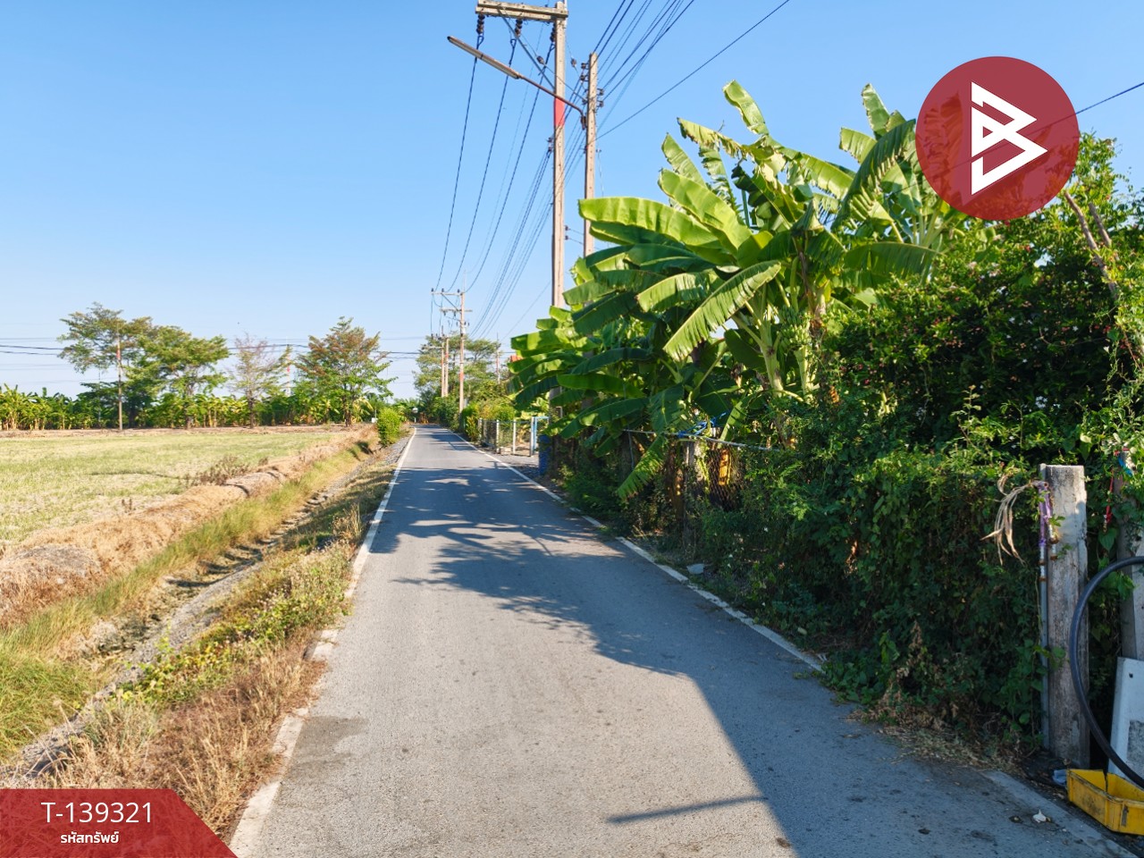 ขายที่ดิน เนื้อที่ 1 งาน 18.3 ตารางวา หนามแดง ฉะเชิงเทรา 8