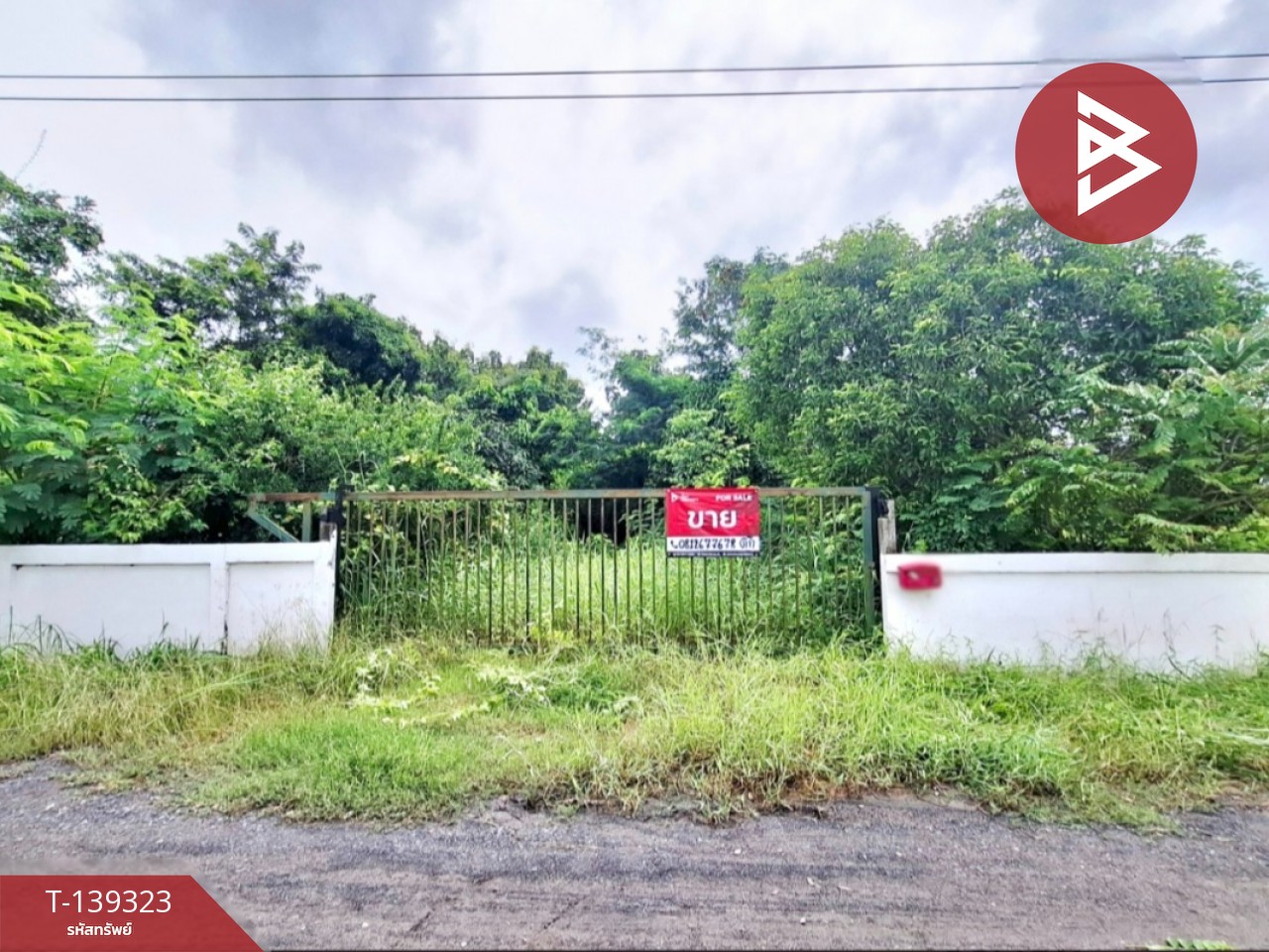 ขายที่ดิน เนื้อที่ 2 ไร่ 2 งาน 86 ตารางวา ต.ยางใหญ่ อ.จังหาร จ.ร้อยเอ็ด 4