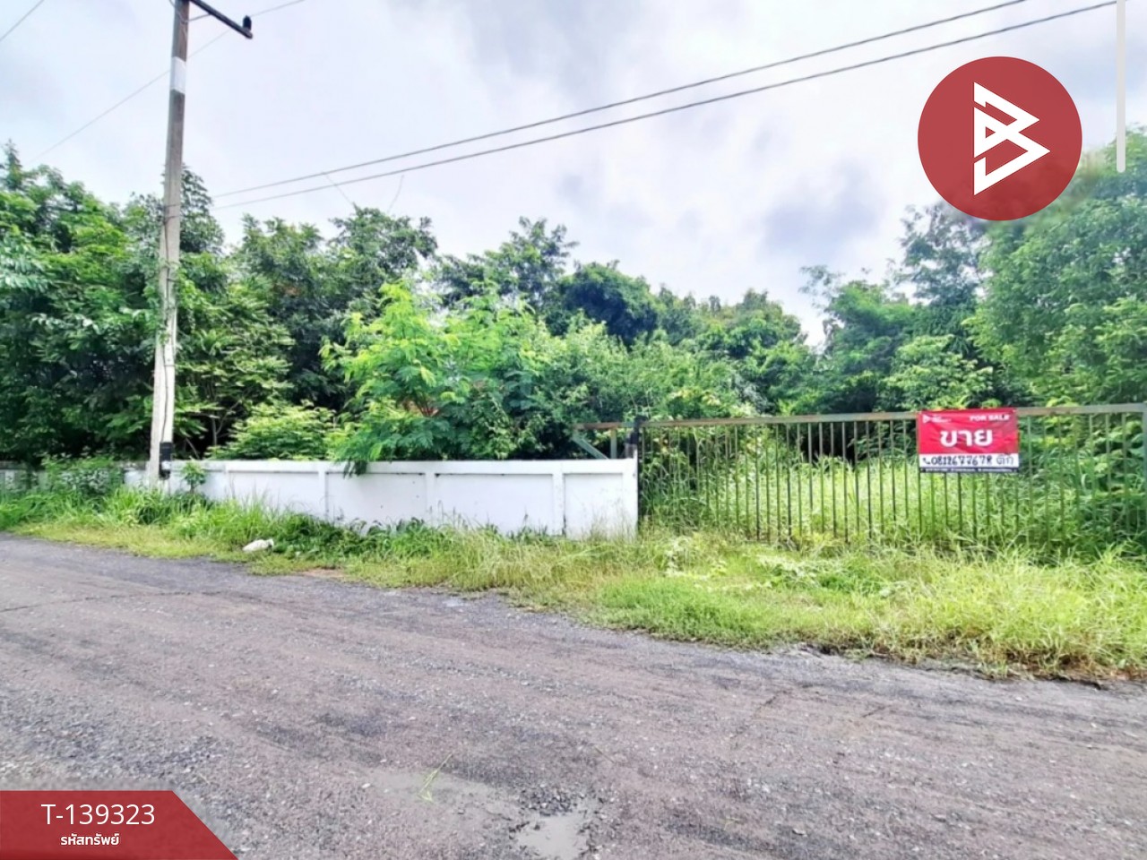 ขายที่ดิน เนื้อที่ 2 ไร่ 2 งาน 86 ตารางวา ต.ยางใหญ่ อ.จังหาร จ.ร้อยเอ็ด 6