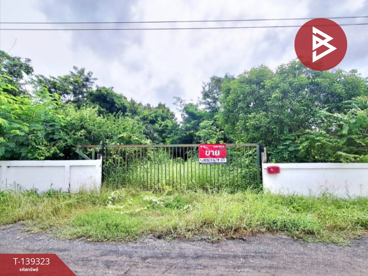 ขายที่ดิน เนื้อที่ 2 ไร่ 2 งาน 86 ตารางวา ต.ยางใหญ่ อ.จังหาร จ.ร้อยเอ็ด 1