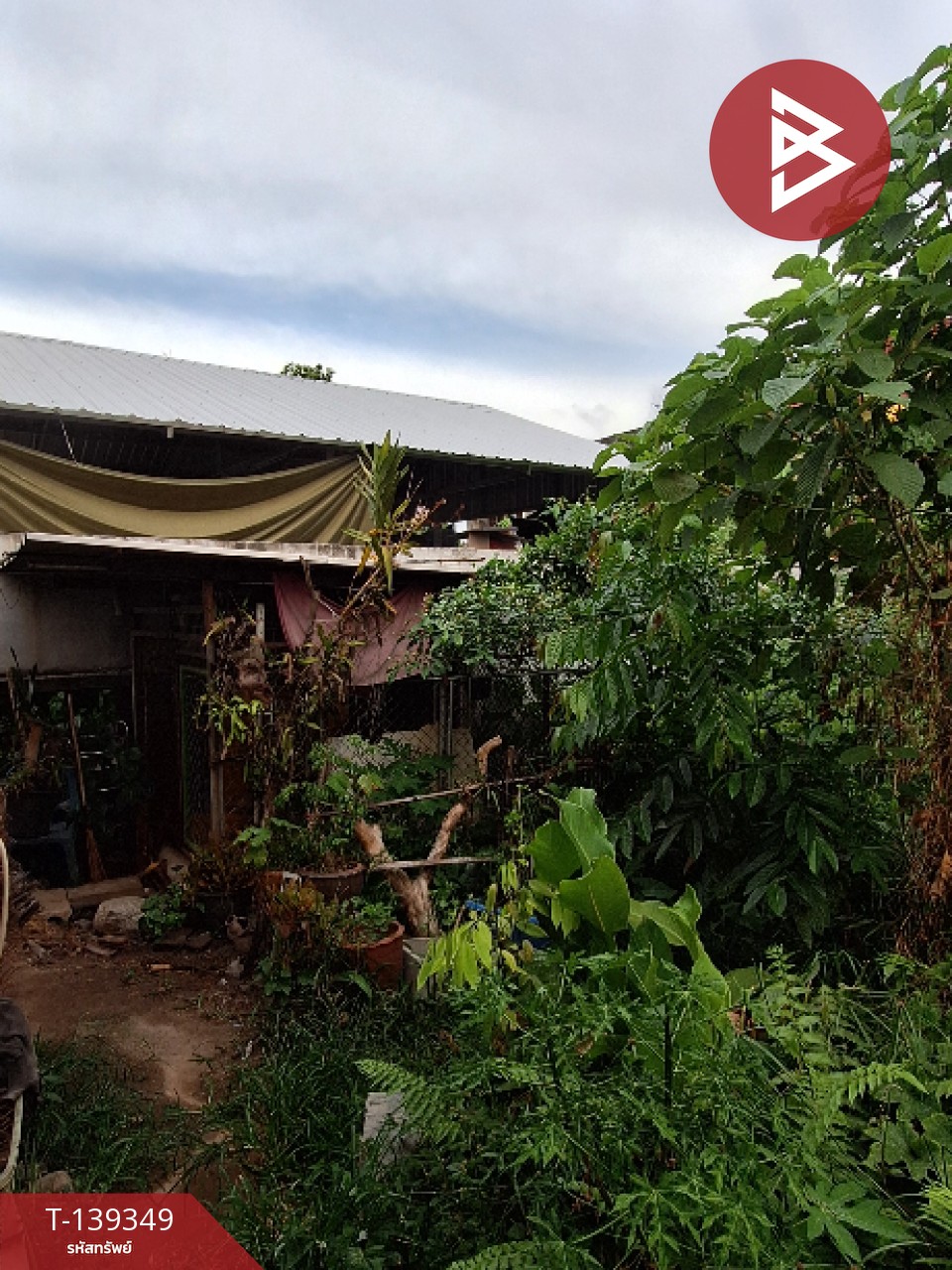 ขายบ้านเดี่ยวชั้นเดียว เนื้อที่ งาน 9.4 คลัง นครศรีธรรมราช 8