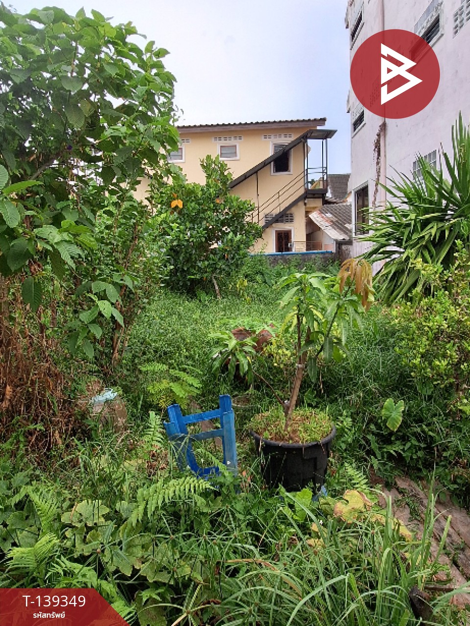 ขายบ้านเดี่ยวชั้นเดียว เนื้อที่ งาน 9.4 คลัง นครศรีธรรมราช 9