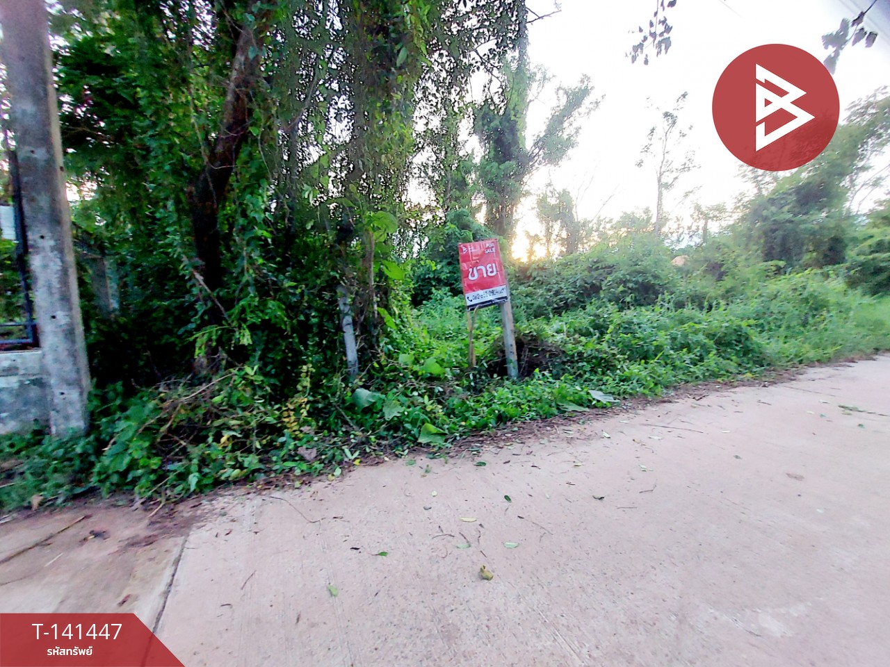 ขายที่ดิน เนื้อที่ 1 งาน 17 ตร.วา โพนพิสัย หนองคาย