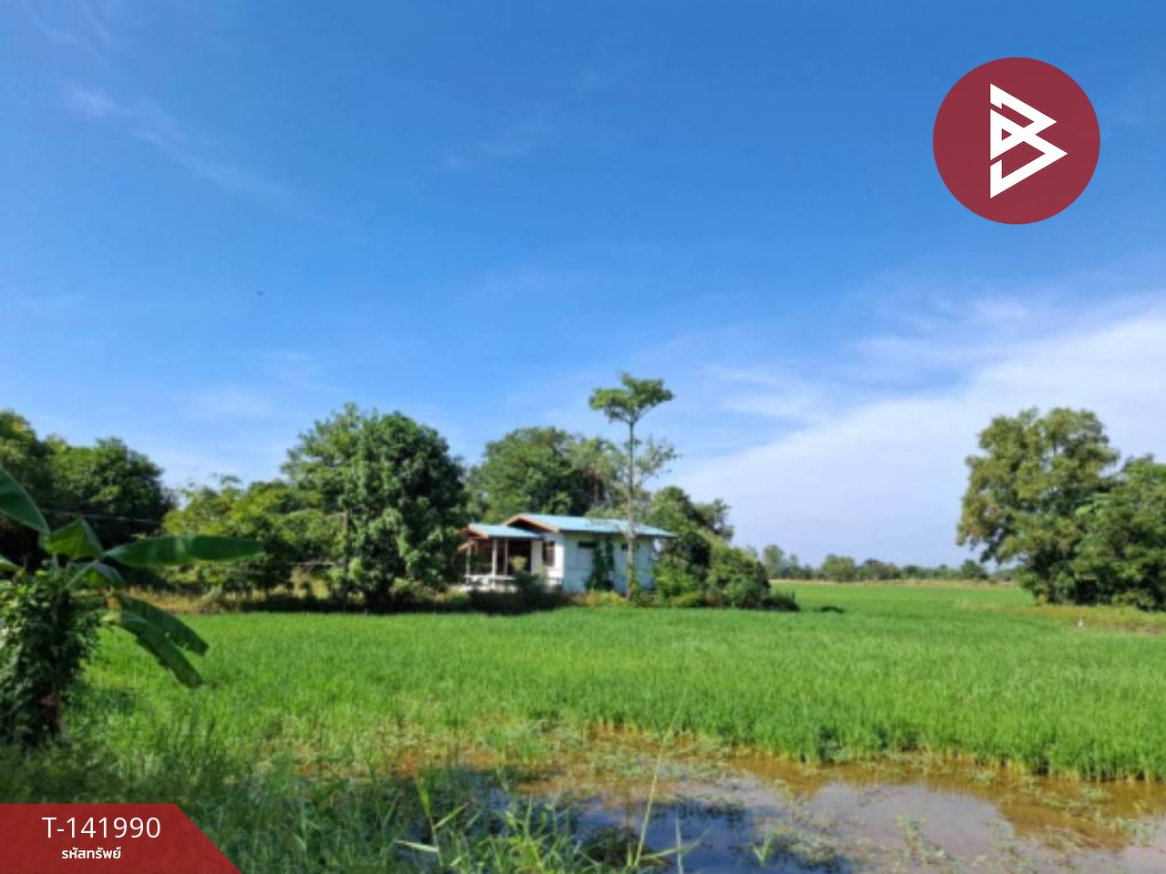 ขายที่ดิน เนื้อที่ 3 ไร่ 3 งาน 67.5 ตร.วา สาริกา นครนายก