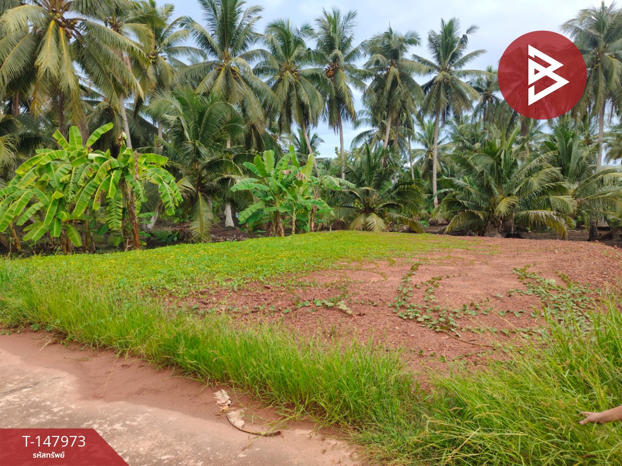 ขายที่ดิน เนื้อที่ 50 ตร.วา ดำเนินสะดวก ราชบุรี