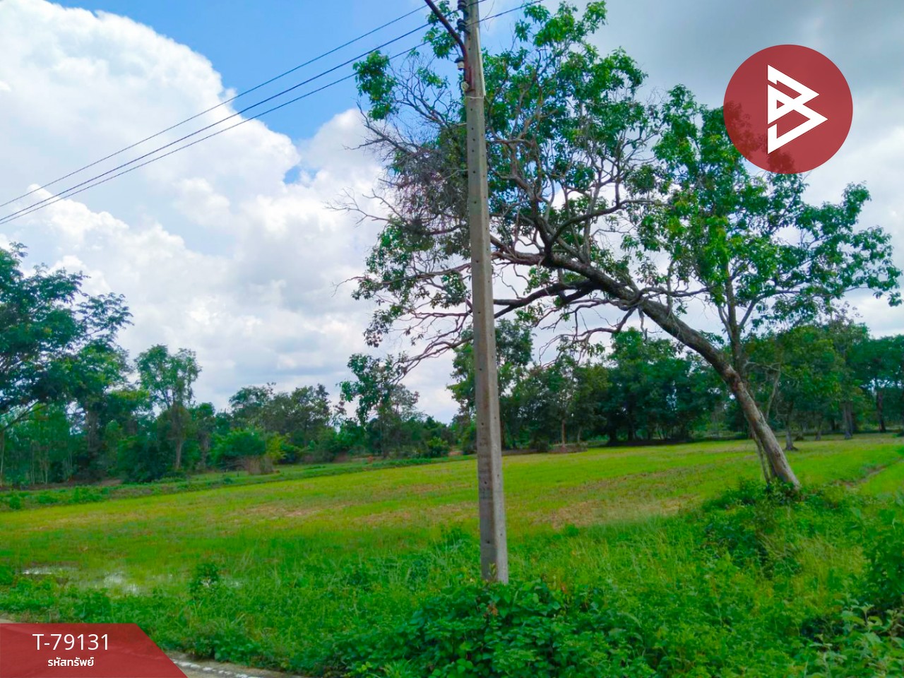 Land for sale, area 12 rai, Leosukok, Ubon Ratchathani