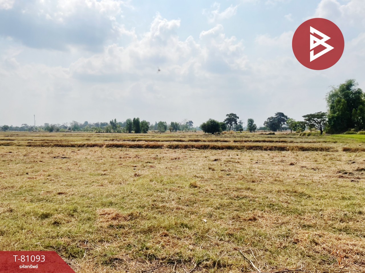 Land for sale, area 66 rai 2 ngan 50 square wa, Prakhon Chai, Buriram