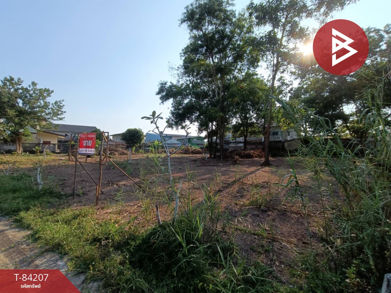 Land for sale, area 1 rai 25 square wa, Bang Mak, Chumphon