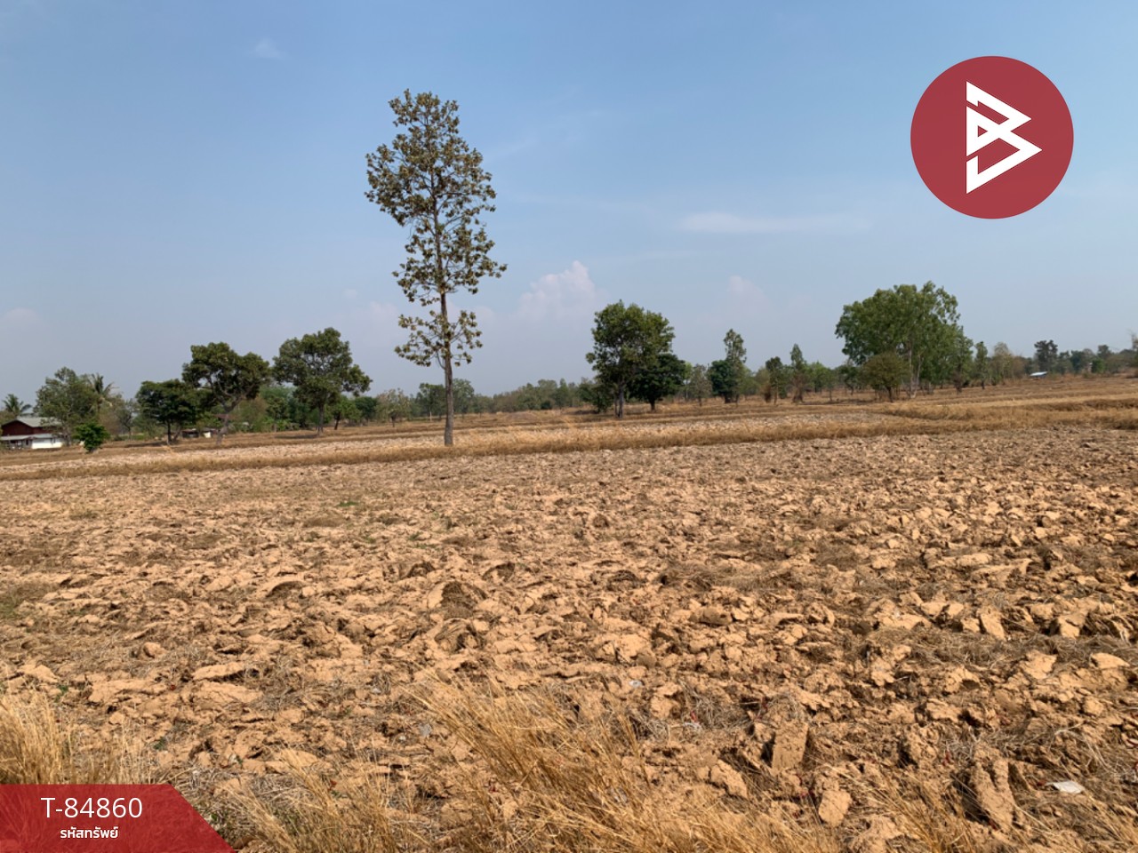 Land for sale, area 8 rai 2 ngan 44 square wa, Phibun Mangsahan, Ubon Ratchathani