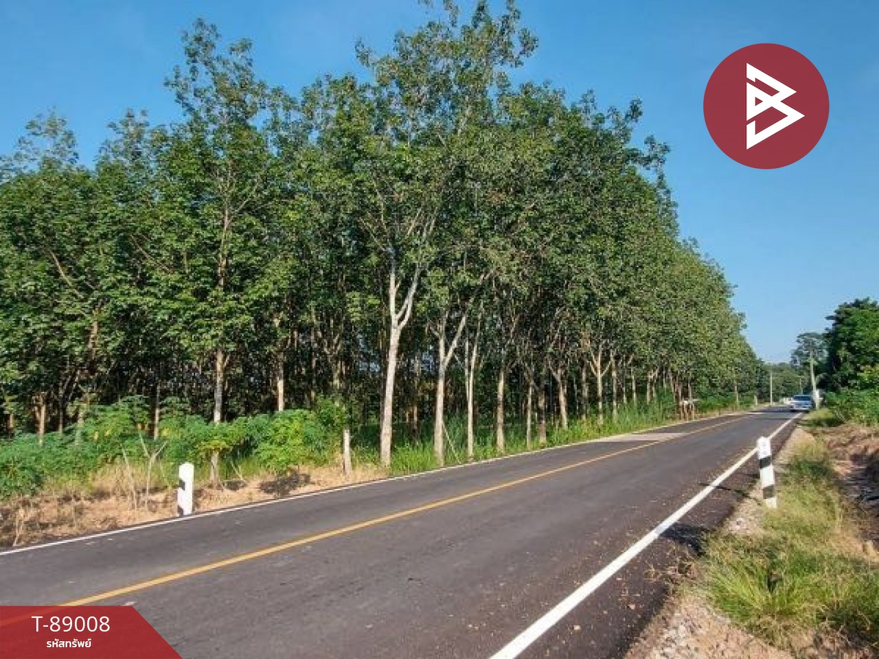 Land for sale, area 7 rai 2 ngan, Khon Yuang Subdistrict, Kut Chap, Udon Thani, next to asphalt road