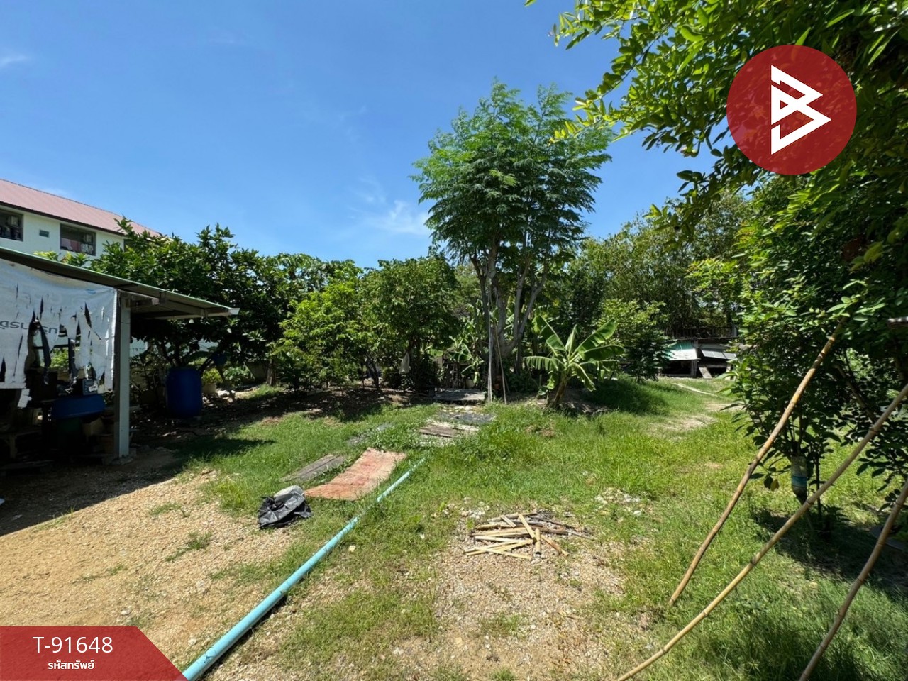 ขายบ้านเดี่ยวชั้นเดียว เนื้อที่ 200 ตารางวา อ.บางปะกง ฉะเชิงเทรา 3