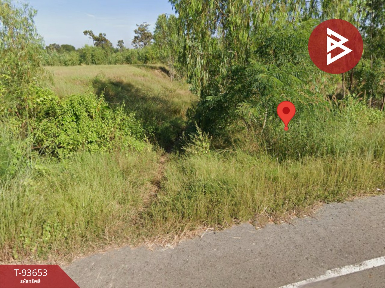 Land for sale, area 4 rai 89 square wa, Don Kloi, Udon Thani