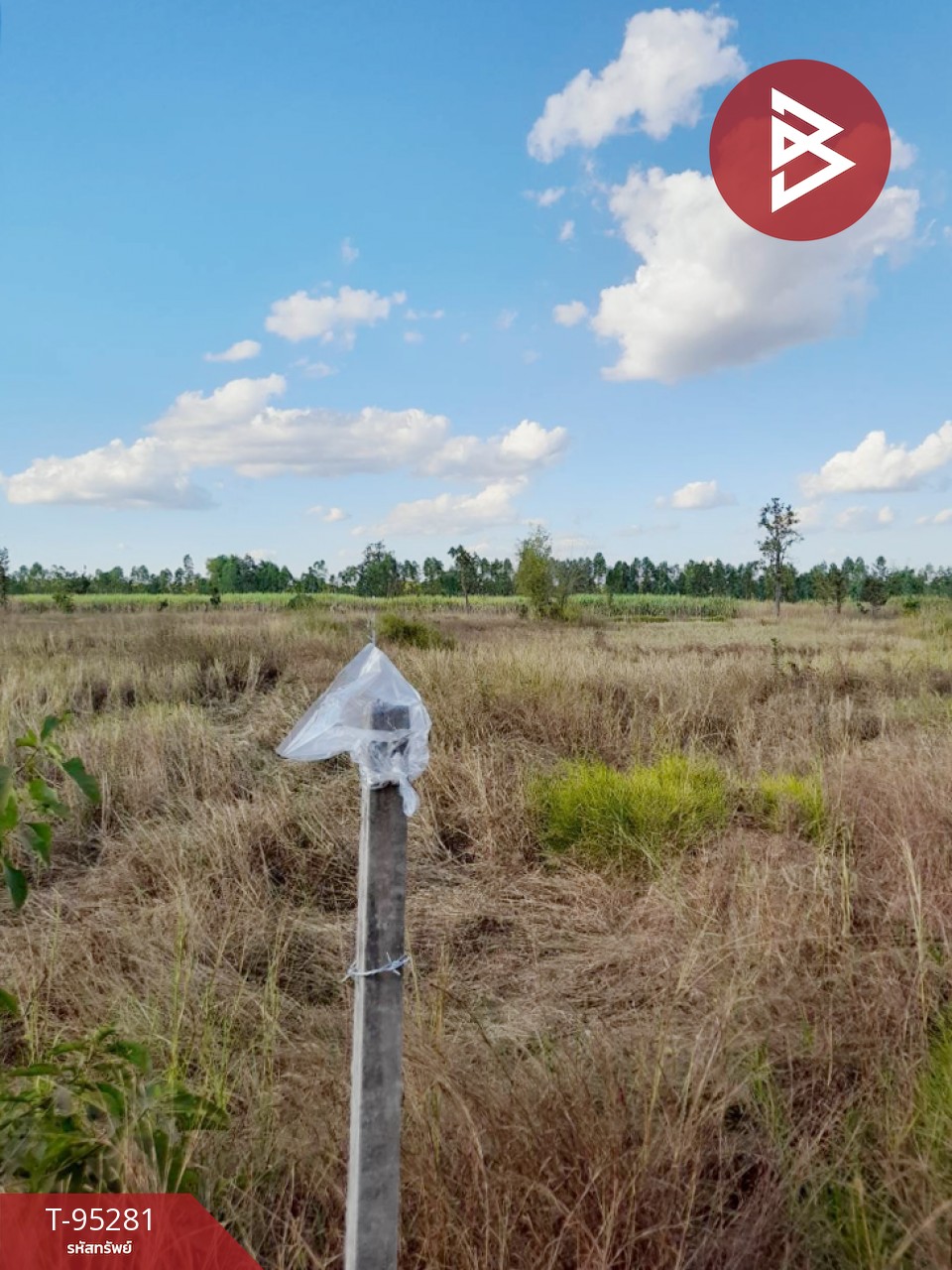 Urgent sale of vacant land, area 4 rai 2 ngan 50 sq.wa, Phen, Udon Thani