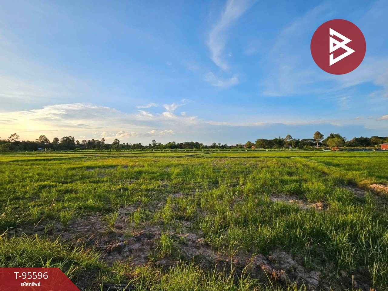 Urgent sale of vacant land, area 15 rai 2 ngan 42.7 sq.wa, Ban Chan, Udon Thani