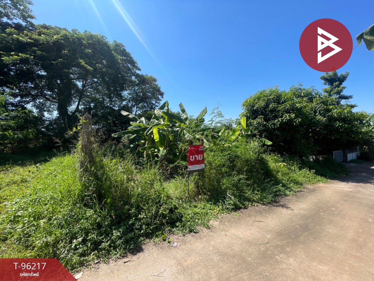 Land for sale, area 78.5 square wah, Sila, Khon Kaen