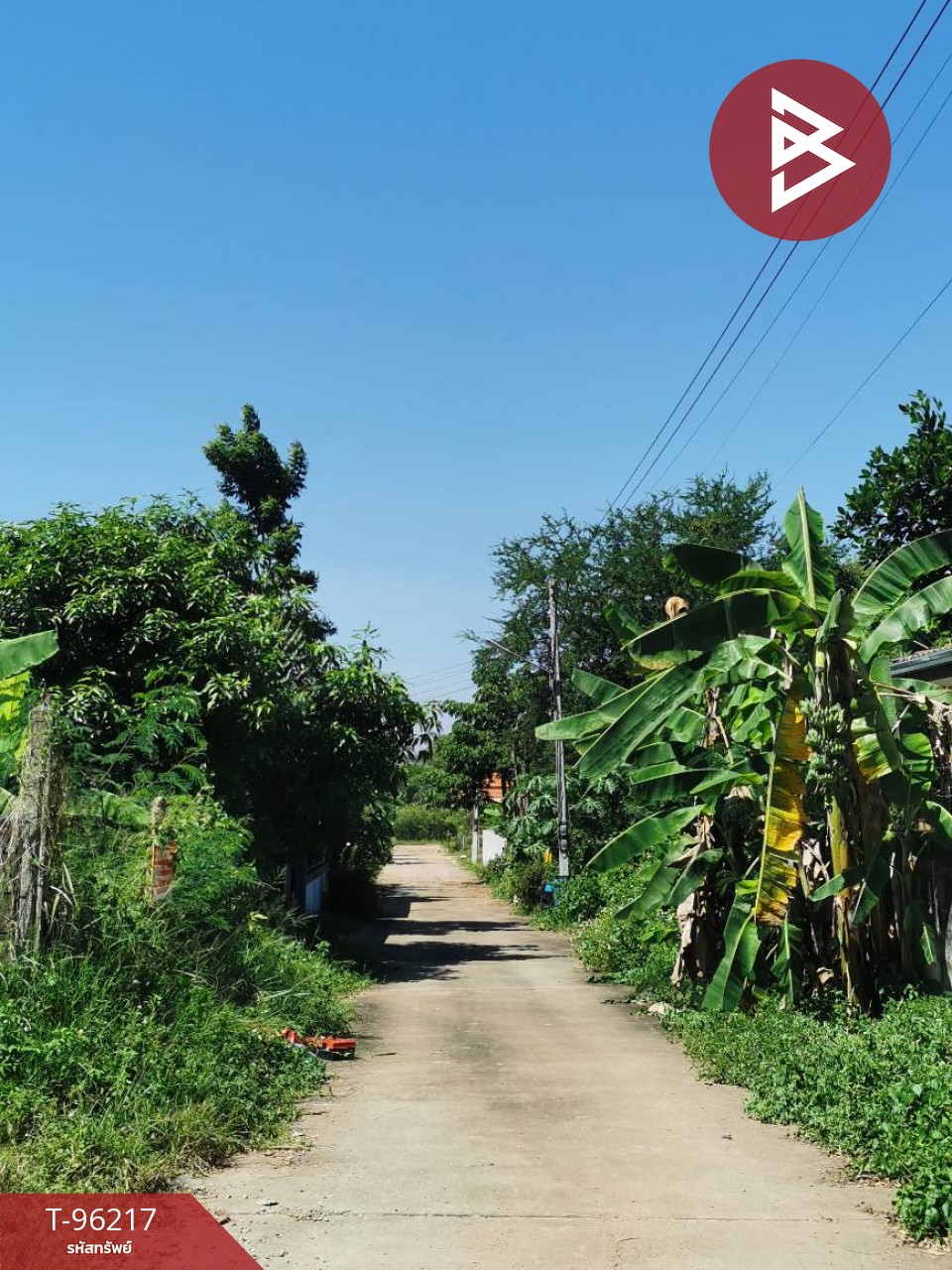 Land for sale, area 78.5 square wah, Sila, Khon Kaen