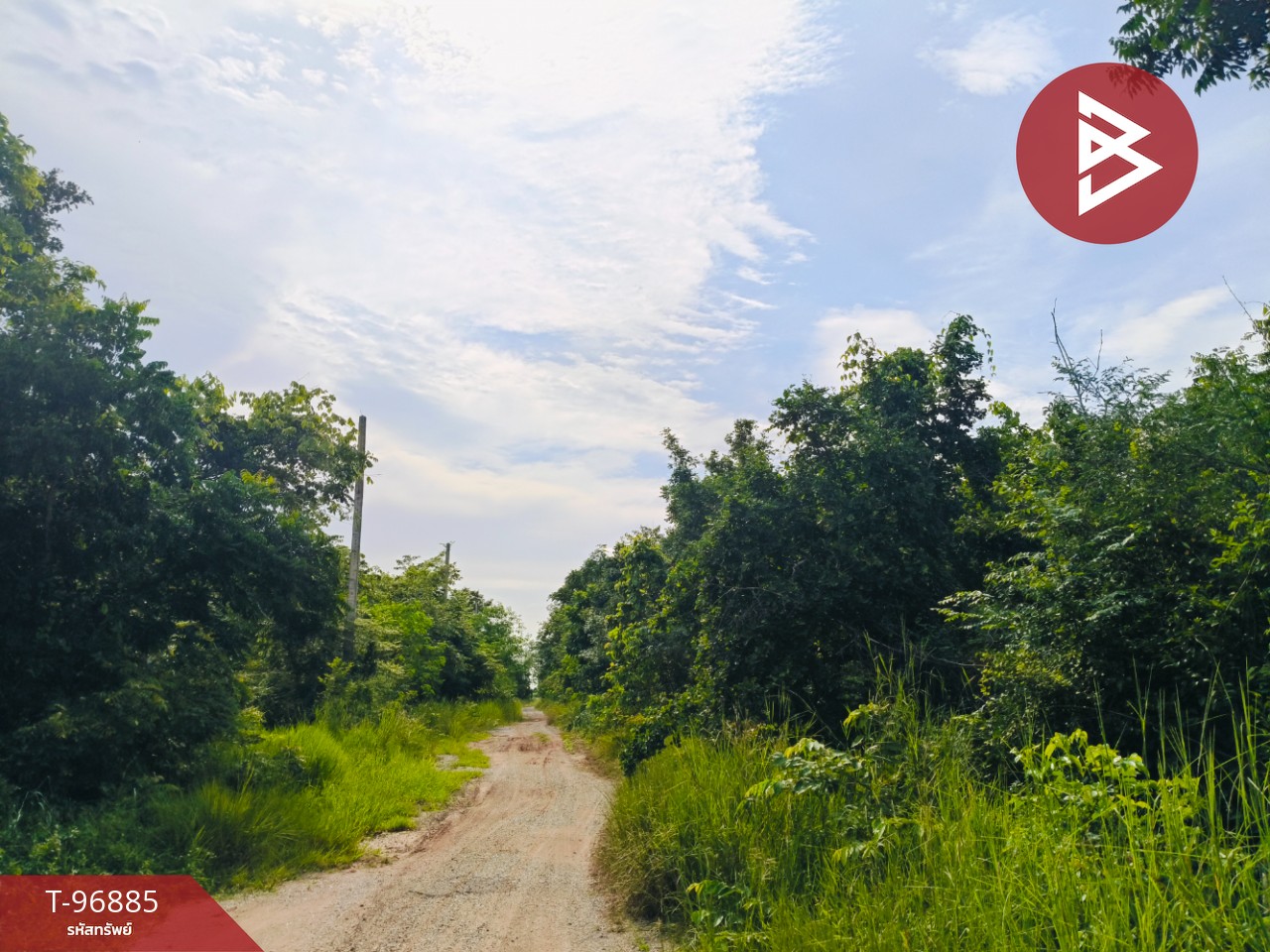 Land for sale, area 1 ngan, Pak Thong Chai, Nakhon Ratchasima