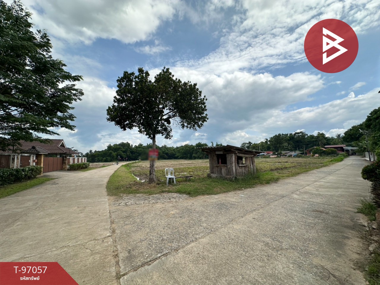 Land for sale, area 12 rai 98.8 square wa, Chiang Khong, Chiang Rai