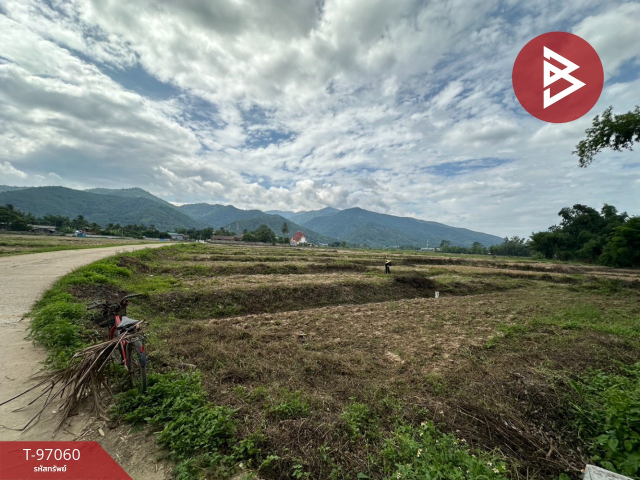 Land for sale, area 2 rai 3 ngan 35.5 square wa, Chiang Khong, Chiang Rai