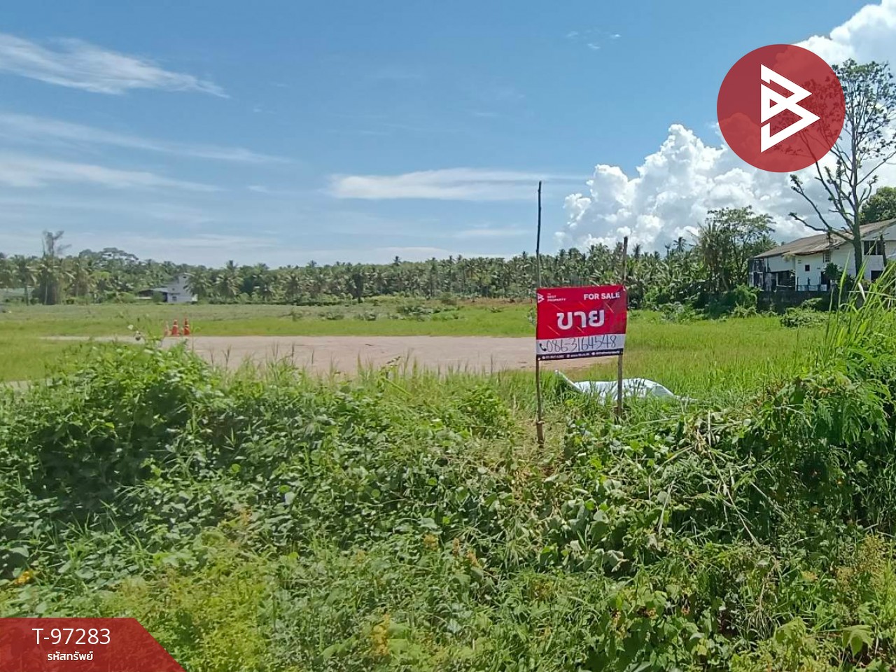 Urgent sale of vacant land, area 4 rai 18.6 sq.wa, Bang Saphan, Prachuap Khiri Khan