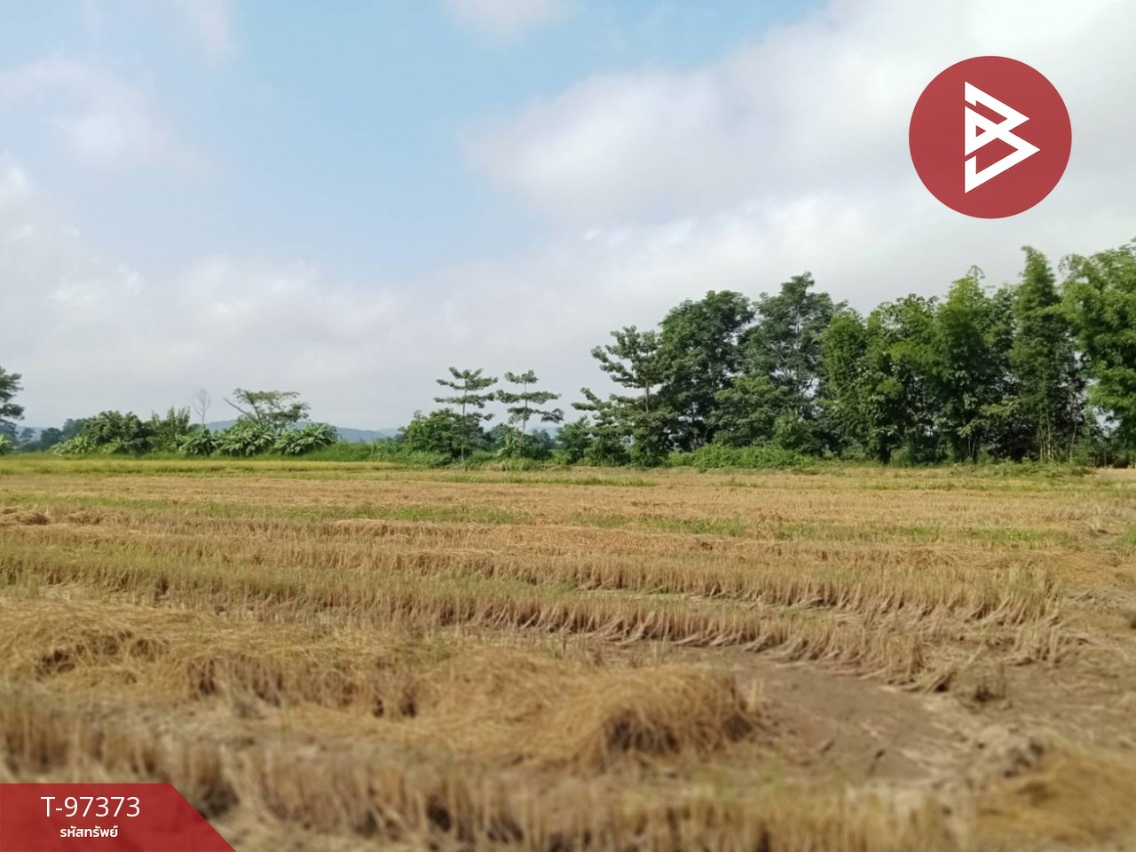 Urgent sale of vacant land, area 13 rai 2 ngan 1.2 sq.wa, Thoeng, Chiang Rai