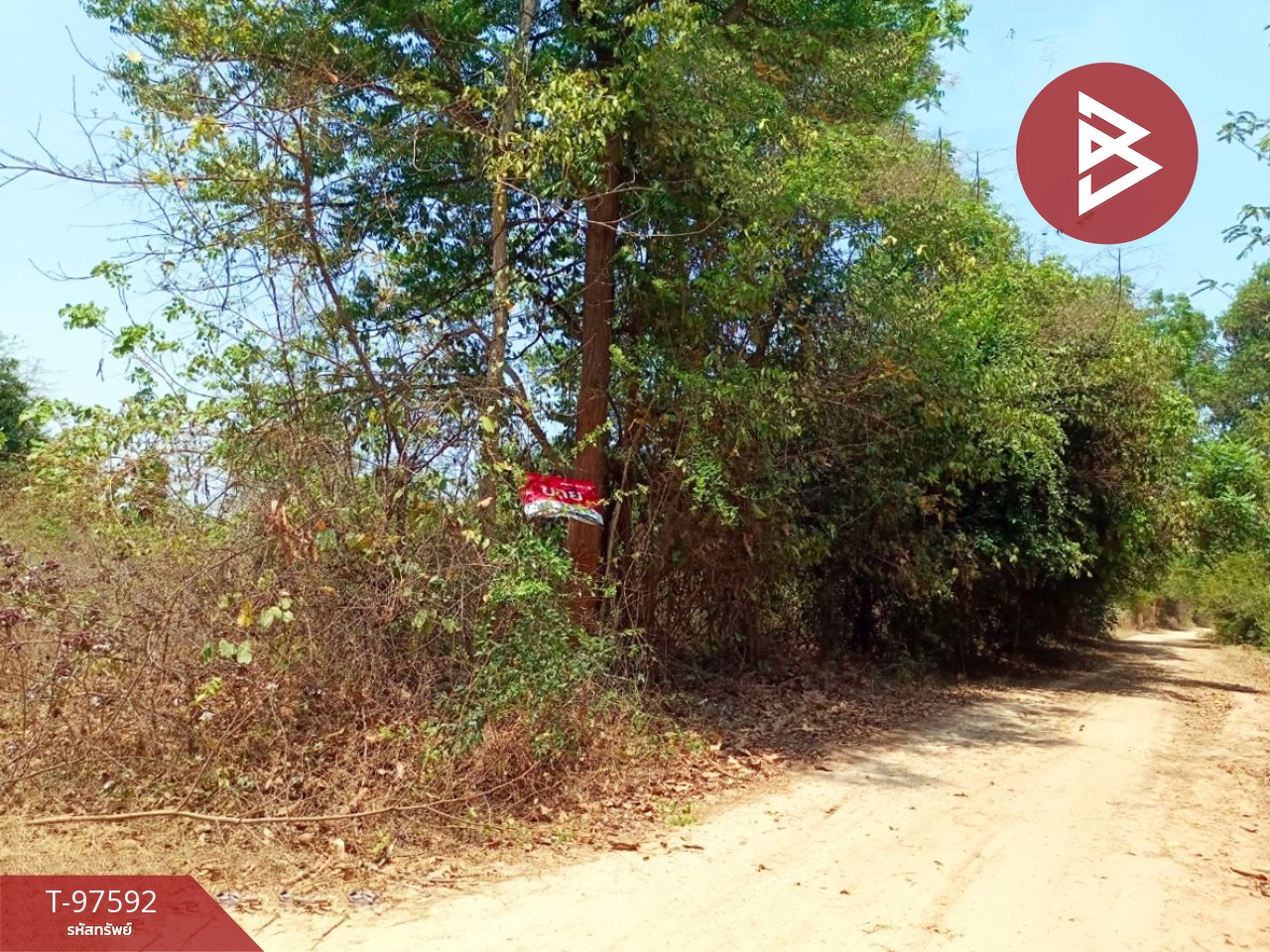 Urgent sale of vacant land, area 4 rai 79 sq m, Ban Phai, Khon Kaen