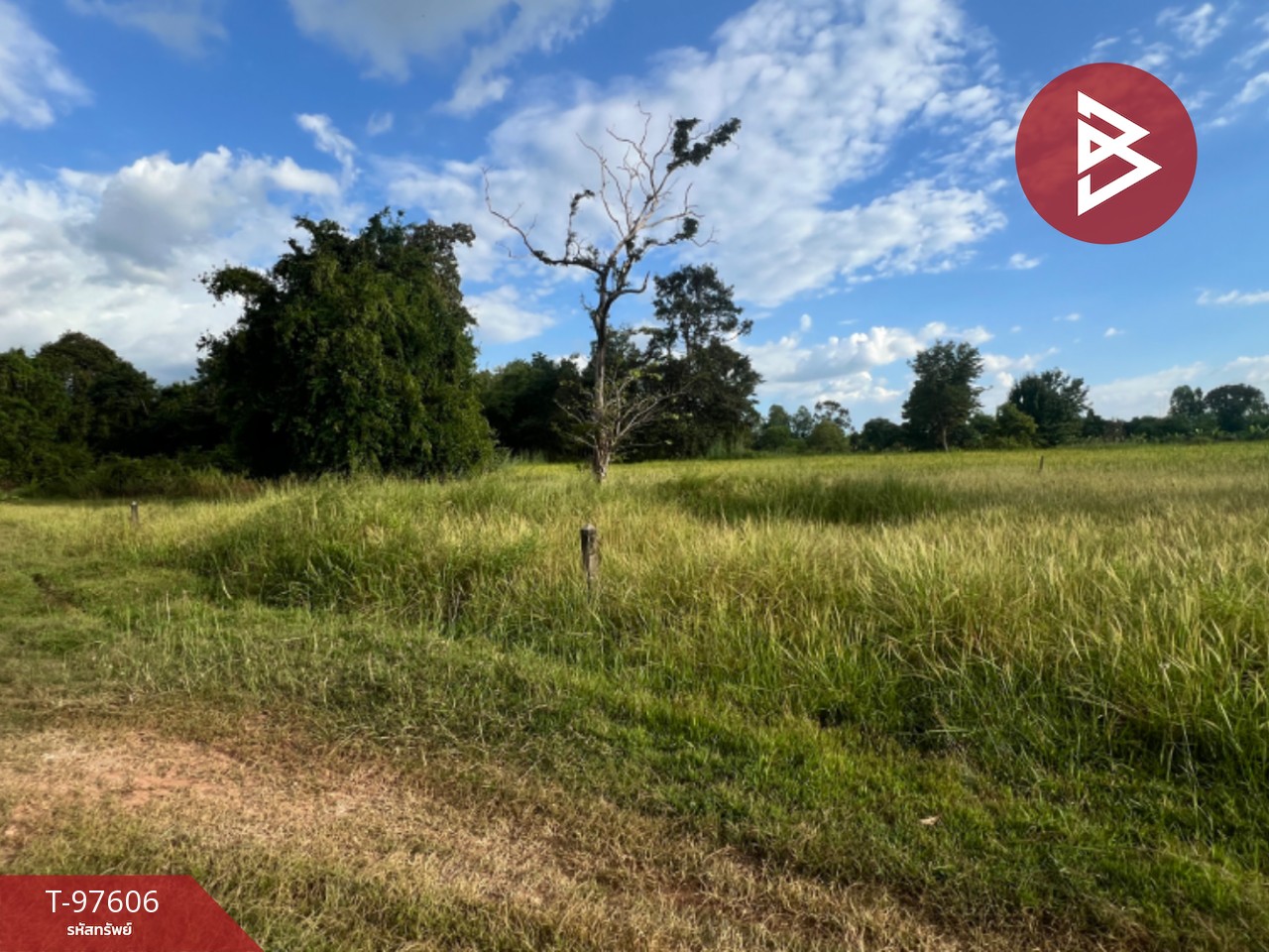 Land for sale, area 81.5 square wah, Nong Bua Subdistrict, Udon Thani, in the city, good location