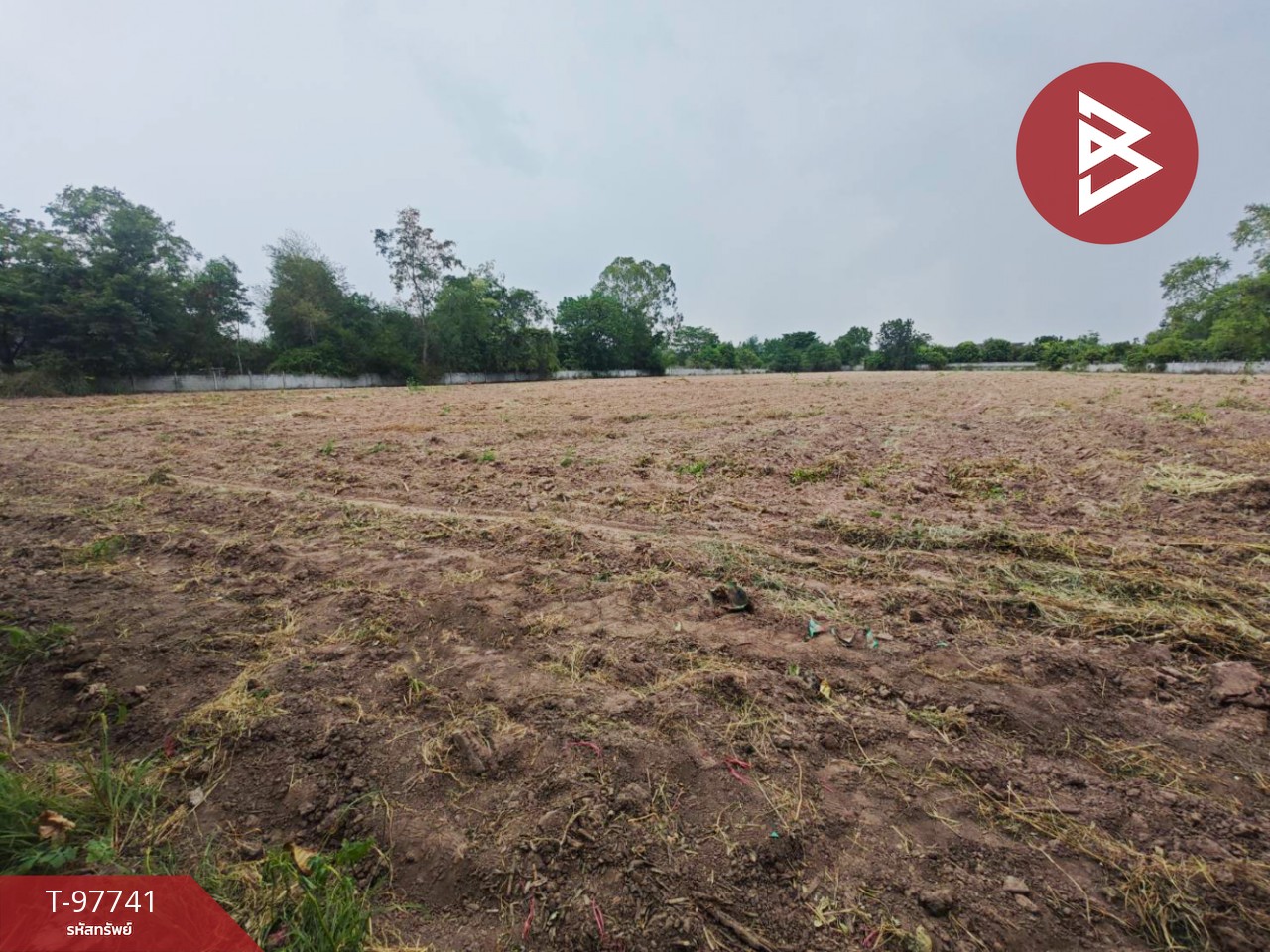 Urgent sale of vacant land, area 7 rai 78.2 sq.wa, Kham Thale So, Nakhon Ratchasima